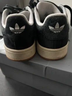 Adidas Campus