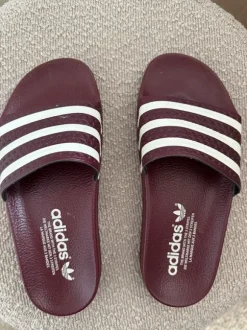 Adidas Originals Adiletten shadow red Bordeaux Burgundy