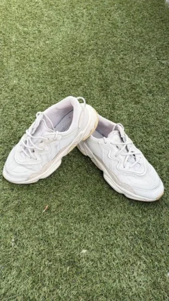 Adidas Ozweego