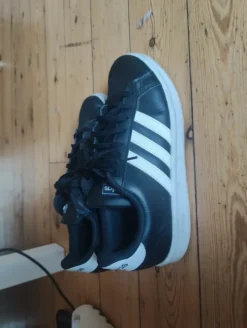 Adidas shoed
