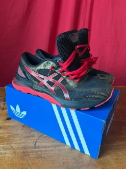 Asics gel nimbus 21
