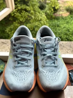 Asics Gel Pulse 15 Herren 42,5