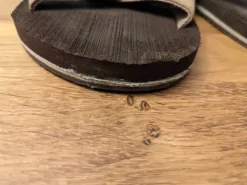 braune Flip Flops Pantolette Slipper von Donnay in Größe 44