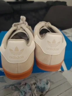 Gazelle Indoor