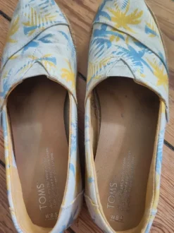 Gemusterte Toms