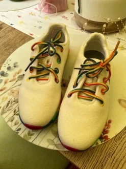 Gieswein Schuhe