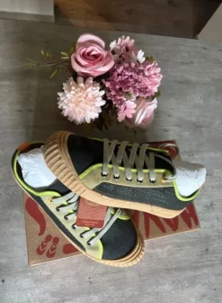 Havaianas