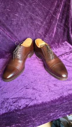 Herren Oxford 