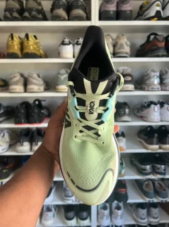 Hoka Skyward X