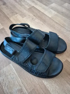 Medicus Gr.39 neu