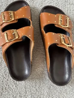 Mules Scholl