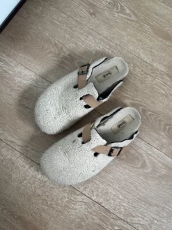 Mules Scholl