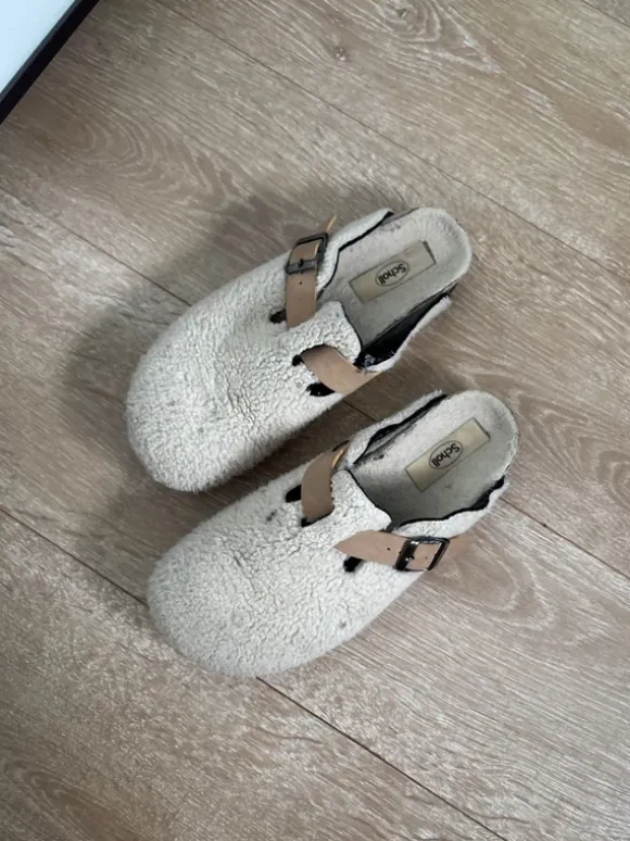 Mules Scholl