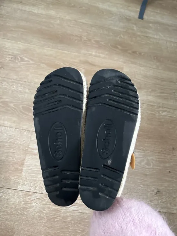 Mules Scholl