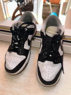 Nike Dunk