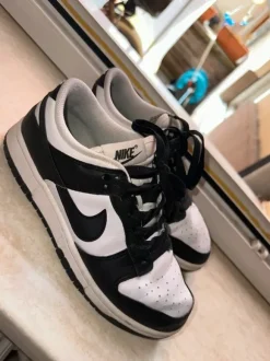 Nike Dunk