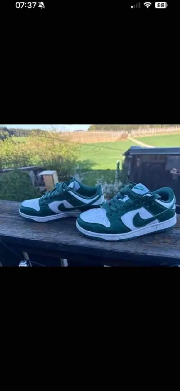 Nike Dunk