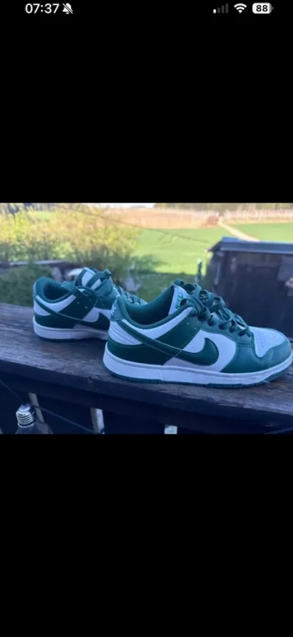 Nike Dunk