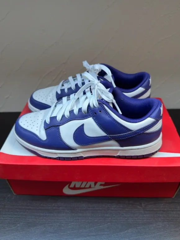 Nike dunk low 40