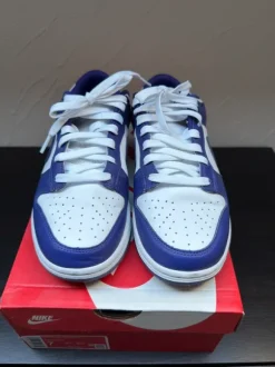 Nike dunk low 40