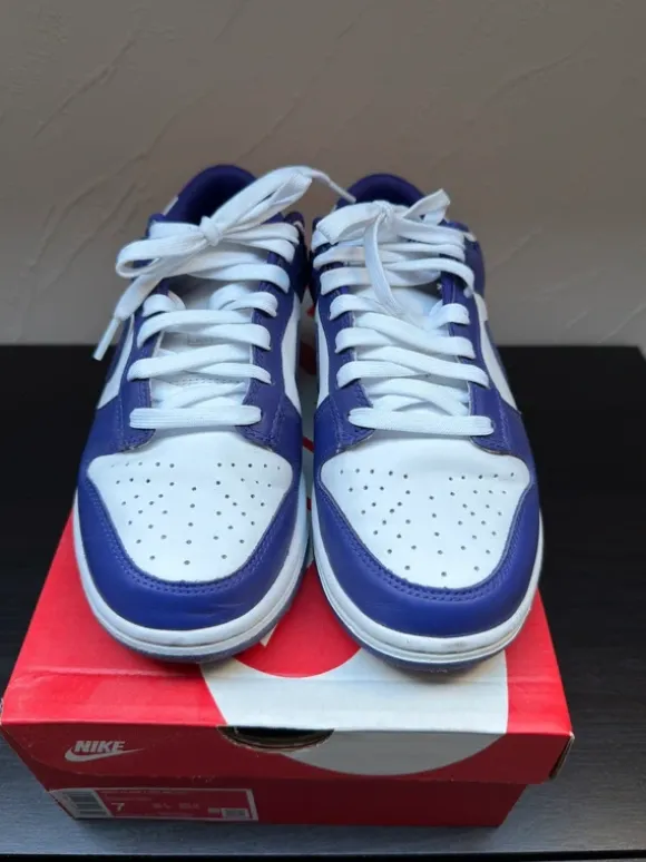 Nike dunk low 40
