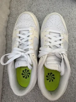 Nike Dunk Low / All White Sneaker 🤍 Gr. 38,5
