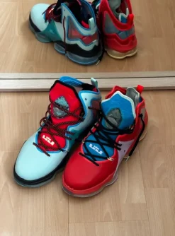 Nike Lebron 19 XIX bunt 44.5