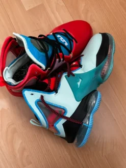Nike Lebron 19 XIX bunt 44.5