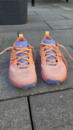 Nike Pagasus Trail Schuhe Gr. 36,5