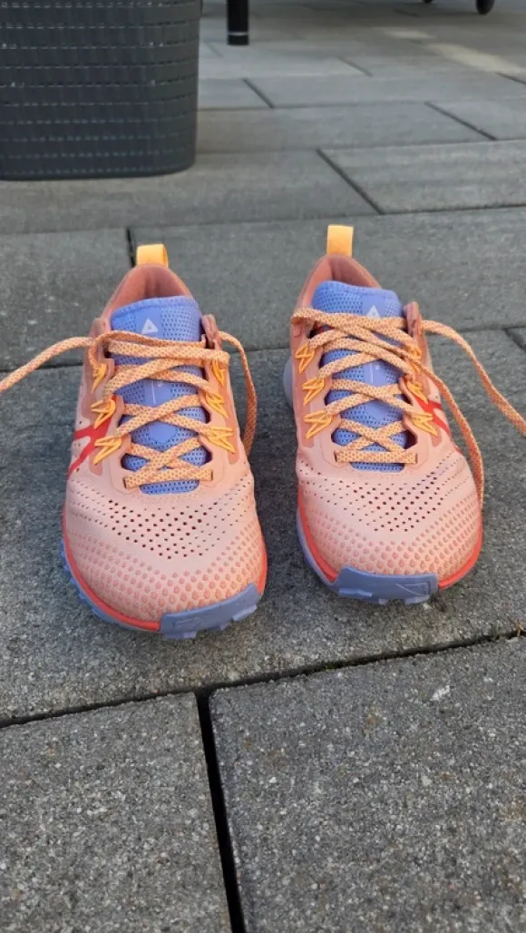 Nike Pagasus Trail Schuhe Gr. 36,5