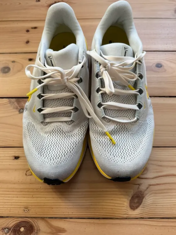 Nike Pegasus 41 Damen/Women