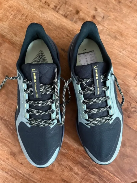 Nike pegasus 41 gtx