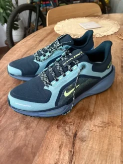 Nike pegasus 41 gtx