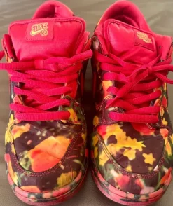 Nike SB Dunk Wizard of Oz Gr.44,5 guter Zustand