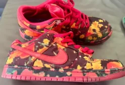 Nike SB Dunk Wizard of Oz Gr.44,5 guter Zustand