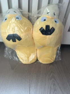 Pokemon sloffen