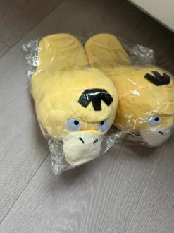 Pokemon sloffen