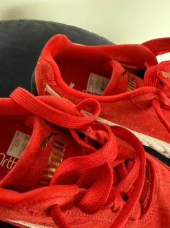Puma Speedcat