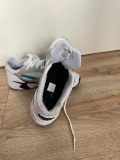 Pumas