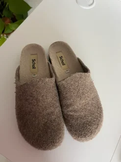 Scholl 39
