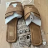 Slipper bruin
