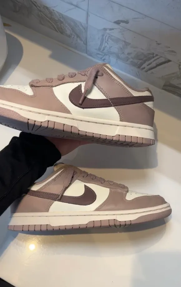 The Nike Dunk Low Sail Beige Brown