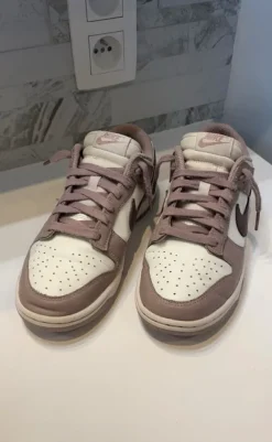 The Nike Dunk Low Sail Beige Brown