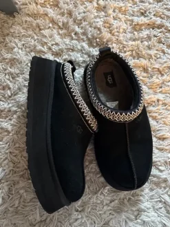 Ugg tazz