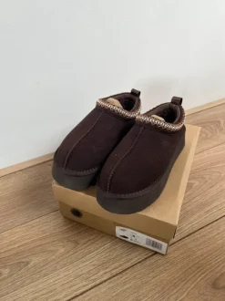 Ugg Tazz Chocolate