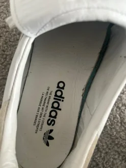 Virale adidas samba